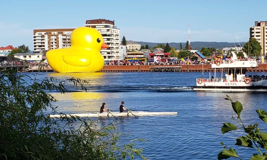 Pato de hule gigante: ¿Crees que es una obra de arte?