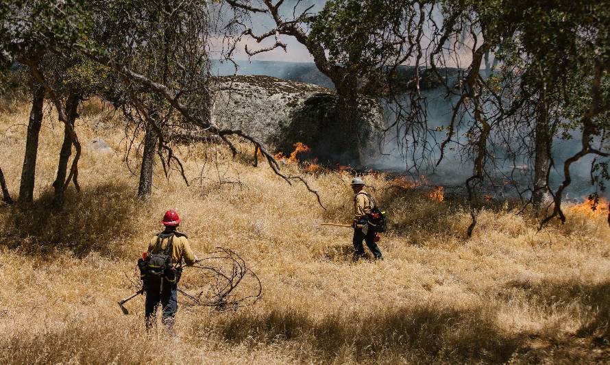 Ola de calor: recomendaciones para evitar incendios forestales