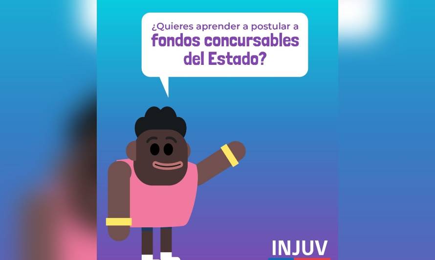 ¡Inscríbete! INJUV Los Ríos abre curso que te enseñará a postular a fondos concursables