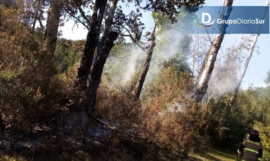 Alarma por incendio de pastizales en sector Maihue