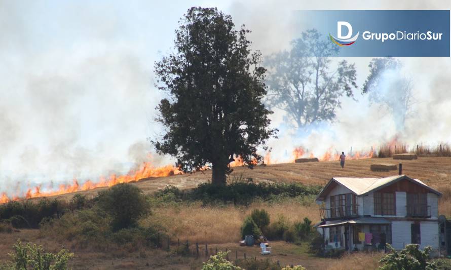 Incendio de pastizales amenazó viviendas en Futrono