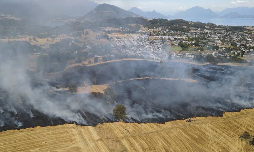Aún no terminaba: Extinguen incendio forestal en fundo La Esperanza de Futrono