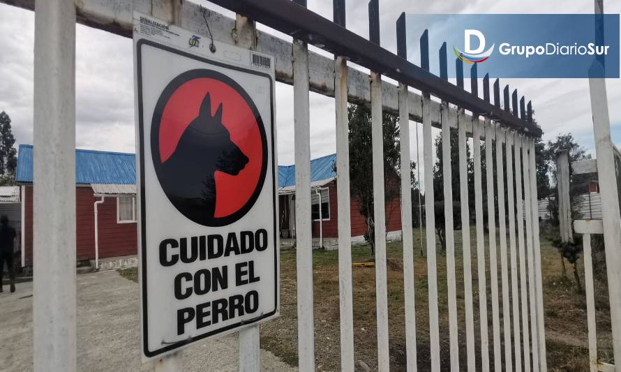 “Los perros conocían y jugaban con mi nieto”. Hablan los abuelos del niño que murió por las mordeduras de dos pitbull