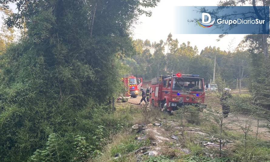 Incendio forestal movilizó a Bomberos en Valdivia