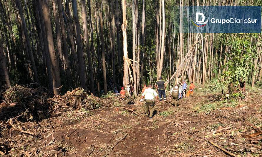 Trabajador de 48 años murió en faena forestal en Los Lagos