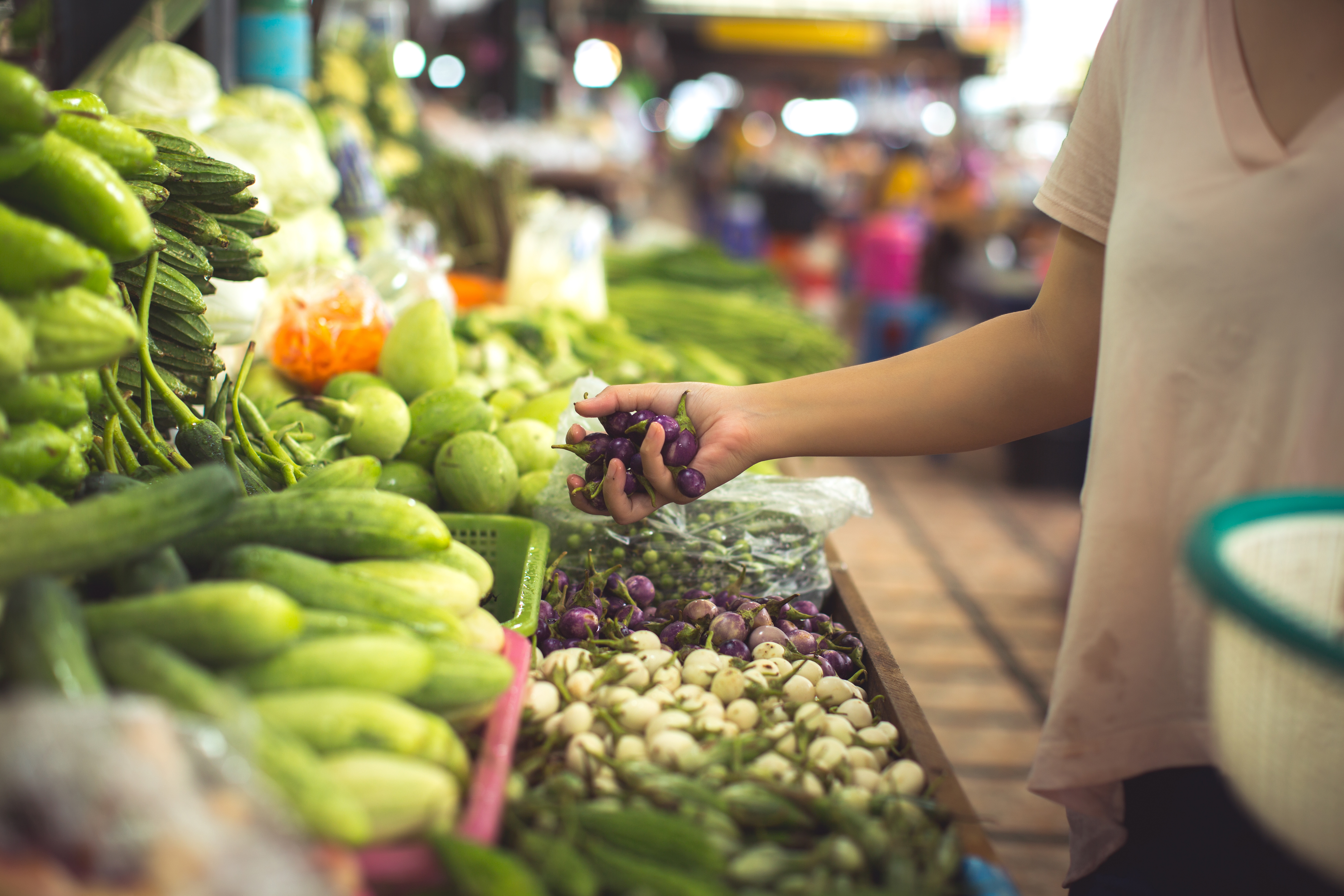 ​​​​​​​Académica de nutrición entrega recomendaciones para una alimentación sustentable