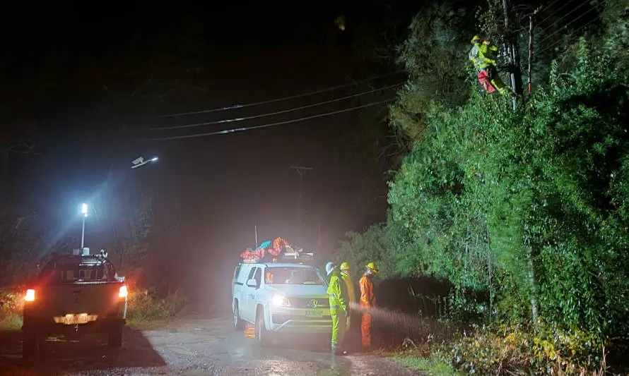 En Los Ríos: caída de árboles es la principal causa de cortes de energía
