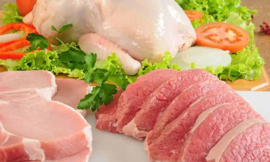 Industria chilena de la carne recicla un 62% de agua en su producción