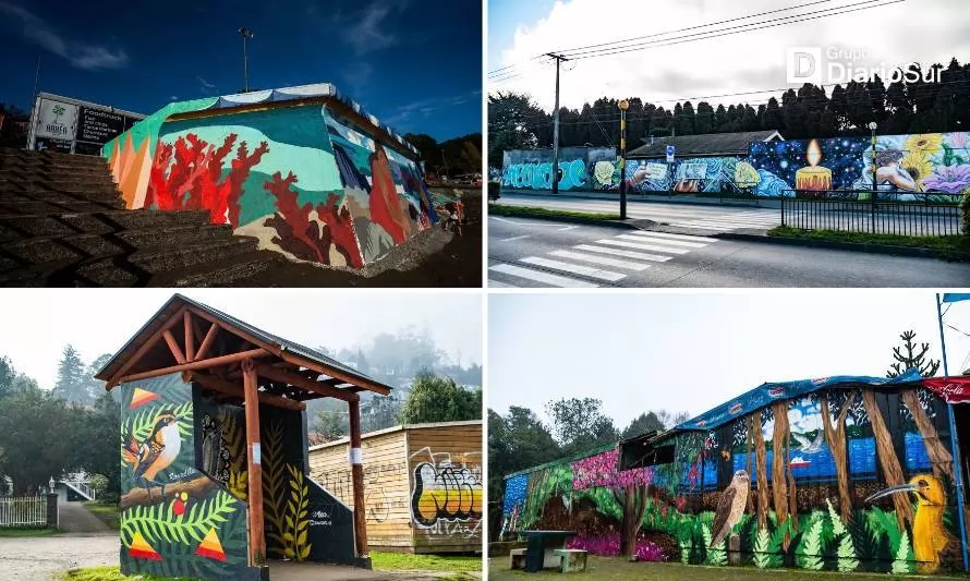 “Murales para Valdivia”: la ruta cultural que busca dar color a la ciudad