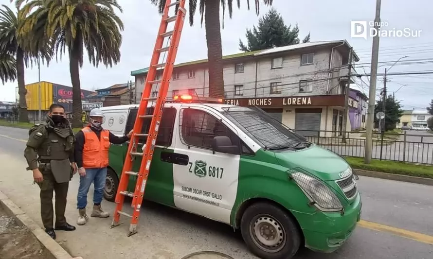 Por una escalera robada detienen a una pareja en Valdivia