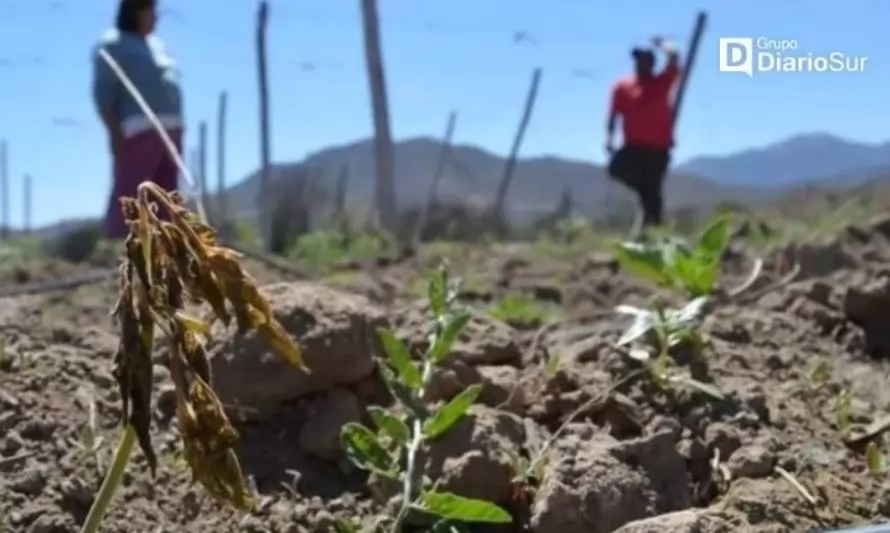 Ministerio de Agricultura declara Emergencia Agrícola en Región de Los Ríos