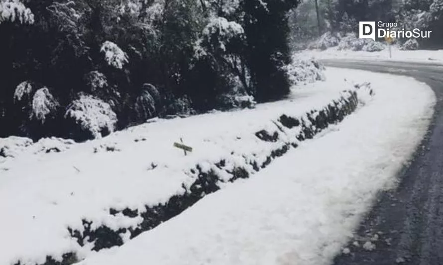 Onemi declara Alerta Temprana Preventiva para la Región de Los Ríos por nevadas