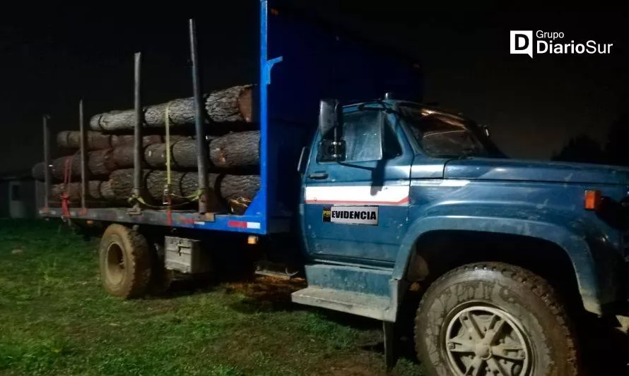 Detienen a cuatro hombres por hurto de madera en Corral: Incautación ascendió a 18 millones