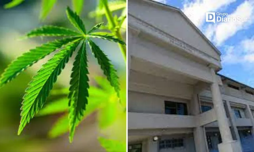 Prisión preventiva para ciudadano colombiano que portaba más de 3 mil dosis de marihuana
