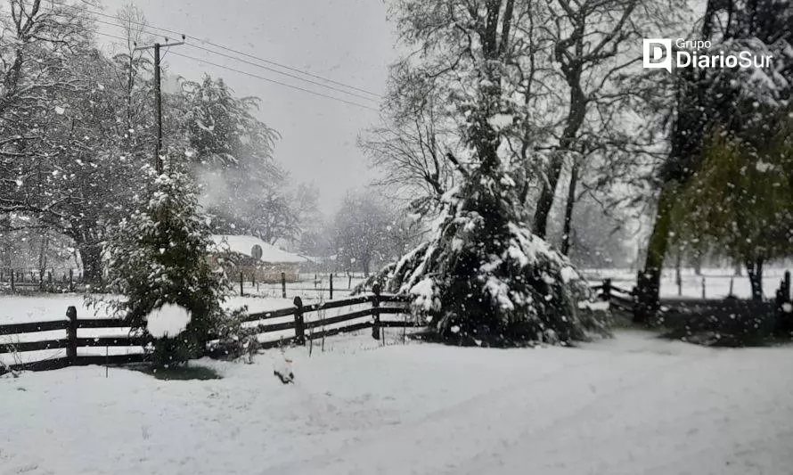Cancelan Alerta Temprana Preventiva por nevadas en Los Ríos