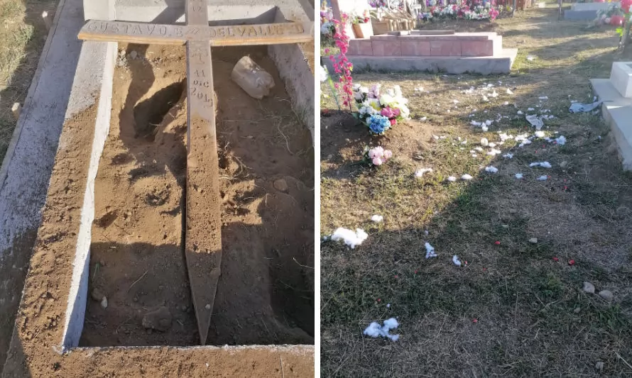 Municipio compromete medidas por perros que destruyen sepulturas en cementerio de Futrono