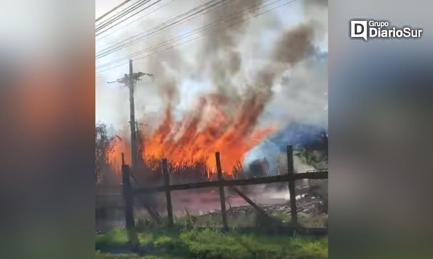 Numerosas compañías de Bomberos concurren a incendio en salida sur de Valdivia