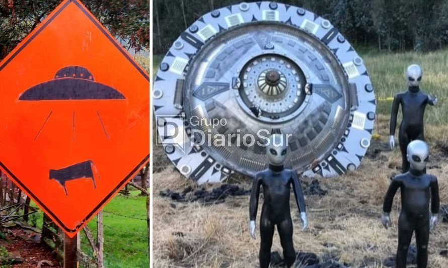 Los alinígenas no dejan de sorprender a quienes transitan por la ruta de acceso sur a Valdivia. Crédito: Cedida.