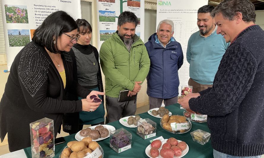 Coordinadores nacionales de INIA buscan potenciar la labor de INIA Remehue