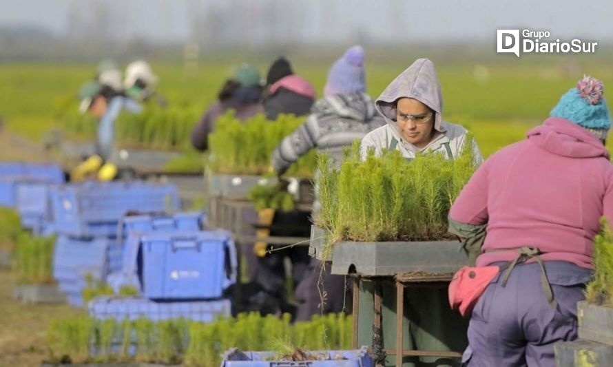 Corma lanza concurso para medir brechas salariales de género