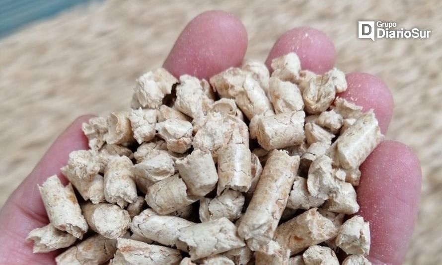 Atención: empresa laguina ya comenzó producción y comercialización de pellet