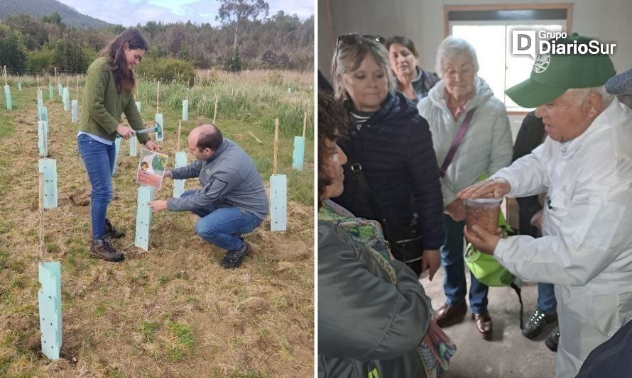 Adaptación al cambio climático: apicultores conocieron huerto melífero implementado en Curiñanco