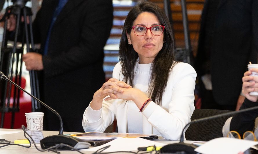 Senadora Gatica pide descentralizar decisiones de Consejo de Monumentos Nacionales para destrabar obras en Los Ríos