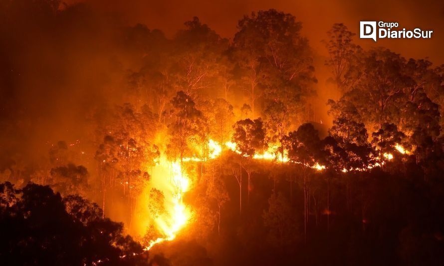 Gore Los Ríos destina recursos a Senapred para prevención de incendios forestales