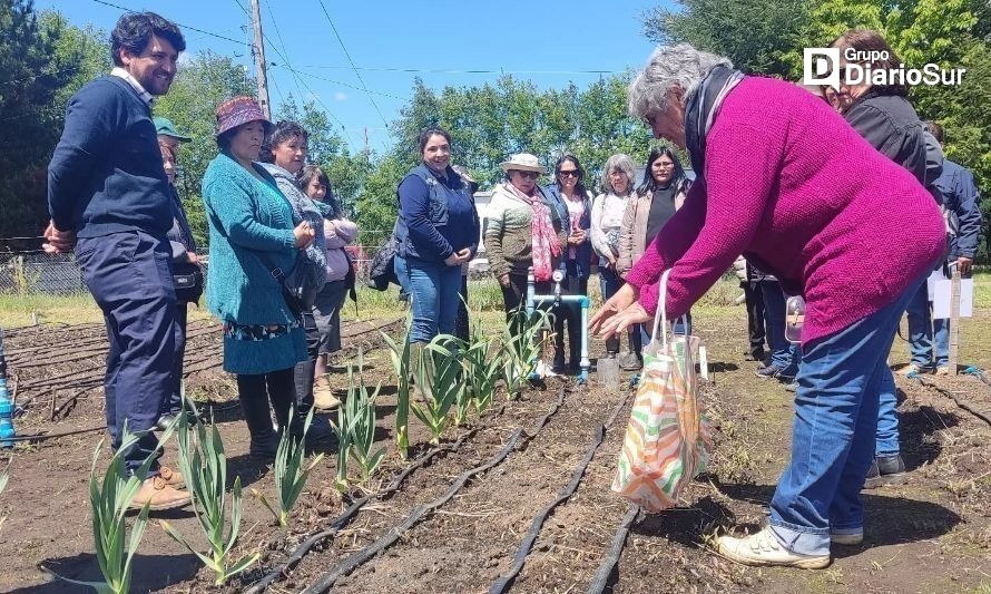 Productores de hortalizas conocen técnicas de adaptación a cambio climático en huerto agroecológico