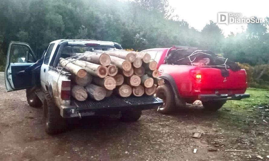 Detienen a cuatro personas por robo de madera en Corral 