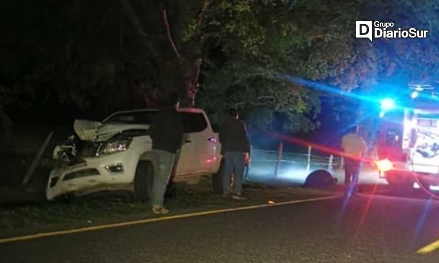 Vehículo impactó vacuno en las cercanías de Llifén, Futrono