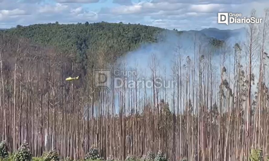 Incendio forestal afecta a predio en sector rural de Paillaco