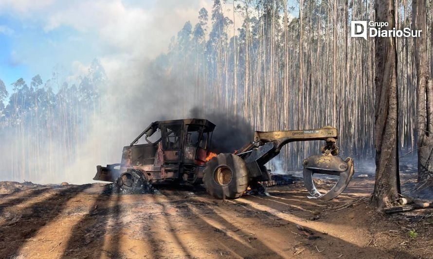 Incendio forestal en Paillaco se encuentra controlado