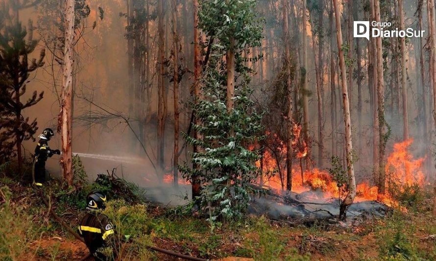 Conaf Los Ríos reitera el llamado a la precaución