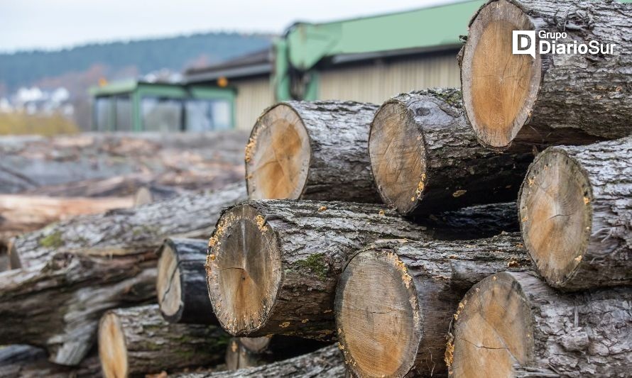 PDI detuvo a dueño de aserradero por receptación de madera flagrante en La Unión