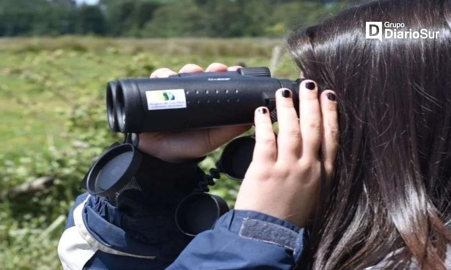 Explorando el fascinante mundo de las aves: un curso transformador de observación ambiental