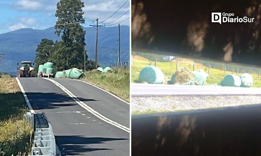 Camión perdió pesada carga en el camino viejo Futrono-Paillaco