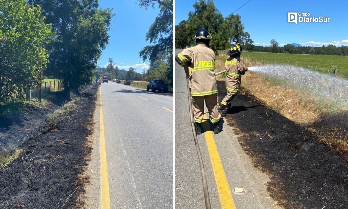 Bomberos controlaron incendio de pastizal a orilla de Ruta Futrono-Dollinco 