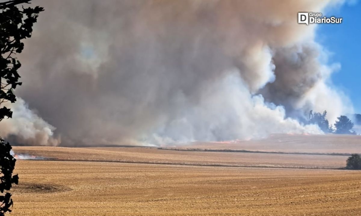 Declaran Alerta Roja por incendio forestal en la comuna de San Pablo