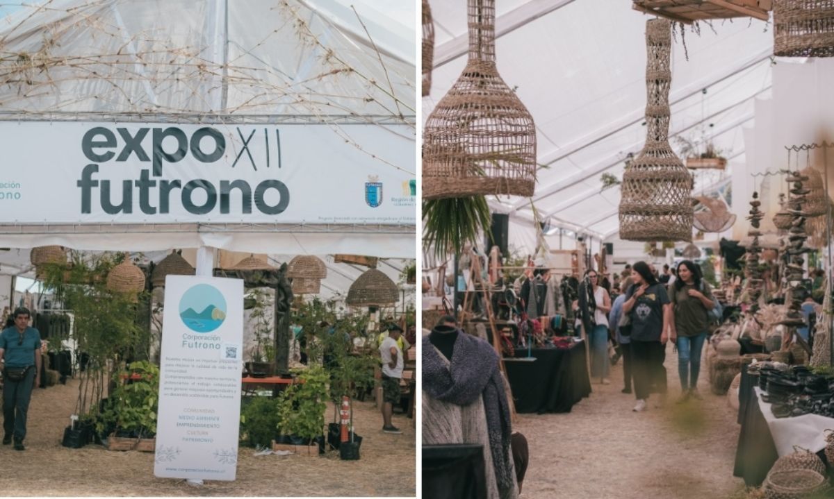 Expo Futrono cierra duodécima versión con gran cantidad de visitas y expositores