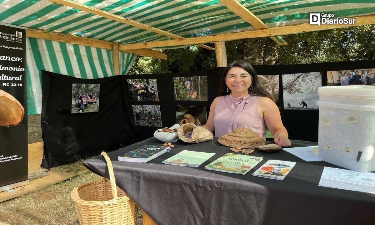 Segunda Feria Kume Pishkotum se realizó en sector Kilkilko y contó con la exposición fotográfica de hongos comestibles de Lanco
