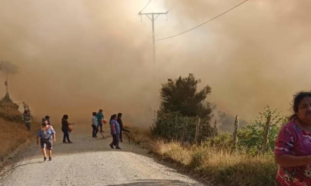 Incendio forestal obliga a evacuación en la costa de Osorno