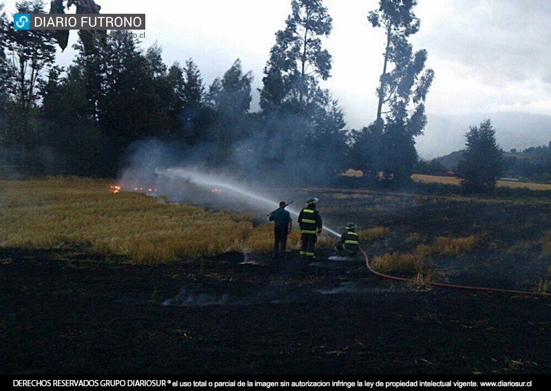 Quema de pastizales camino a Chollinco alertó a bomberos de Llifén