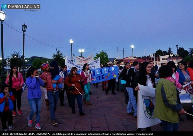 Profesores de Los Lagos a la espera de una pronta solución a demandas del gremio