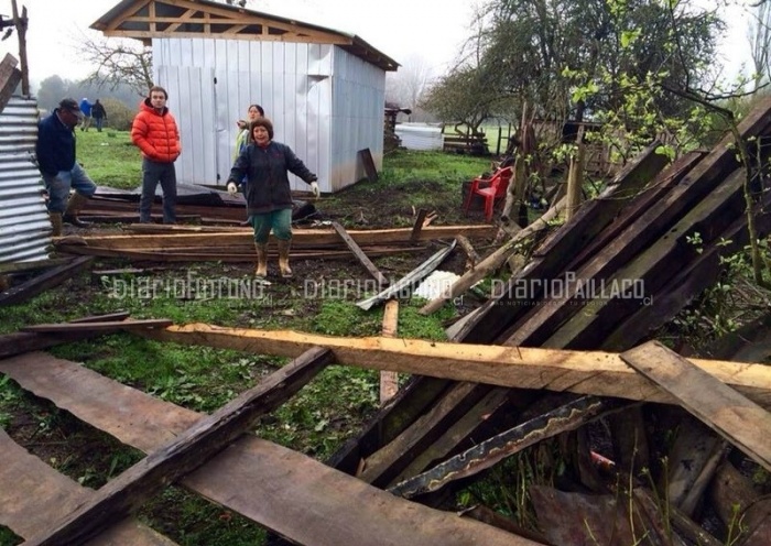 Tornado destruyó techumbres y arrancó de raíz más de 80 árboles frutales en Río Bueno