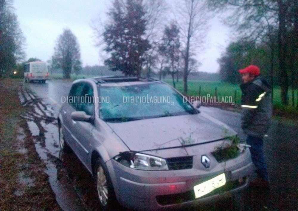 Árbol caído en el camino provocó dos accidentes: uno de ellos afectó al hijo del ex alcalde Jorge Tatter 