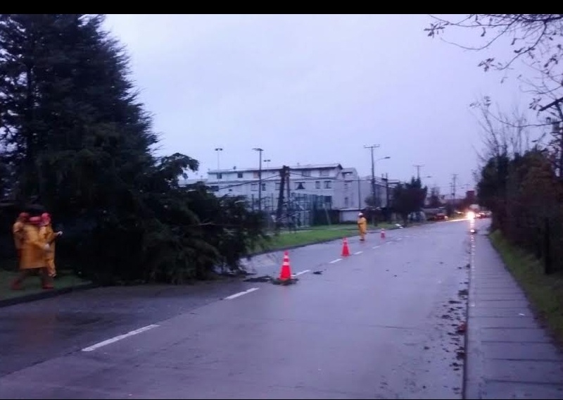 Temporal causó estragos en Lanco, Río Bueno y Valdivia