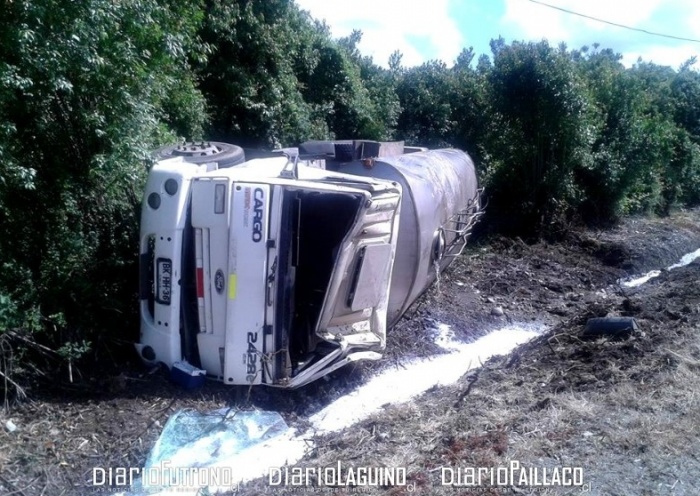 Siguen los accidentes en Los Lagos: camión lechero volcó en cruce Quinchilca