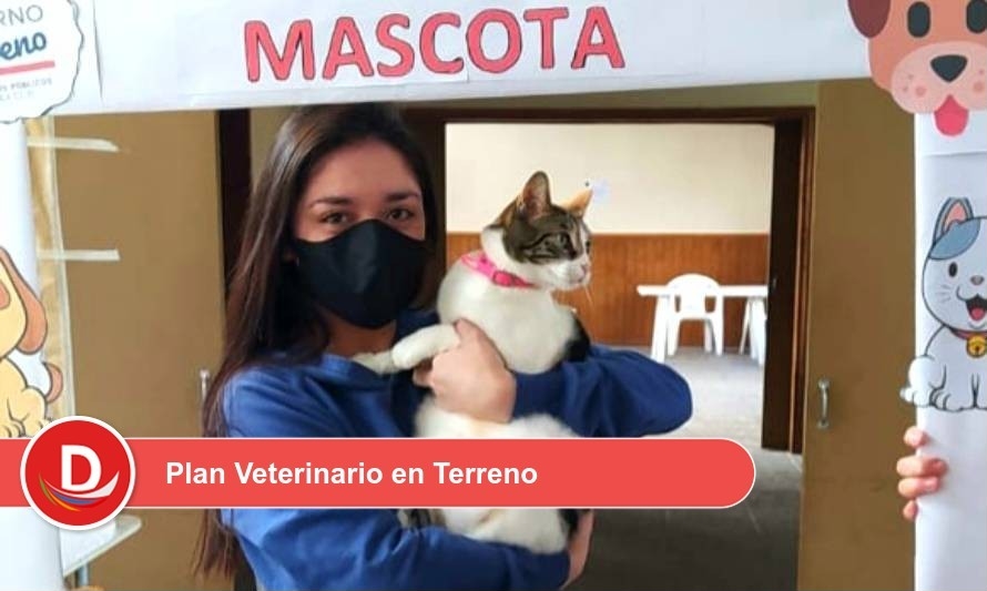 Vecinos del Ranco accedieron a servicios sanitarios para sus mascotas
