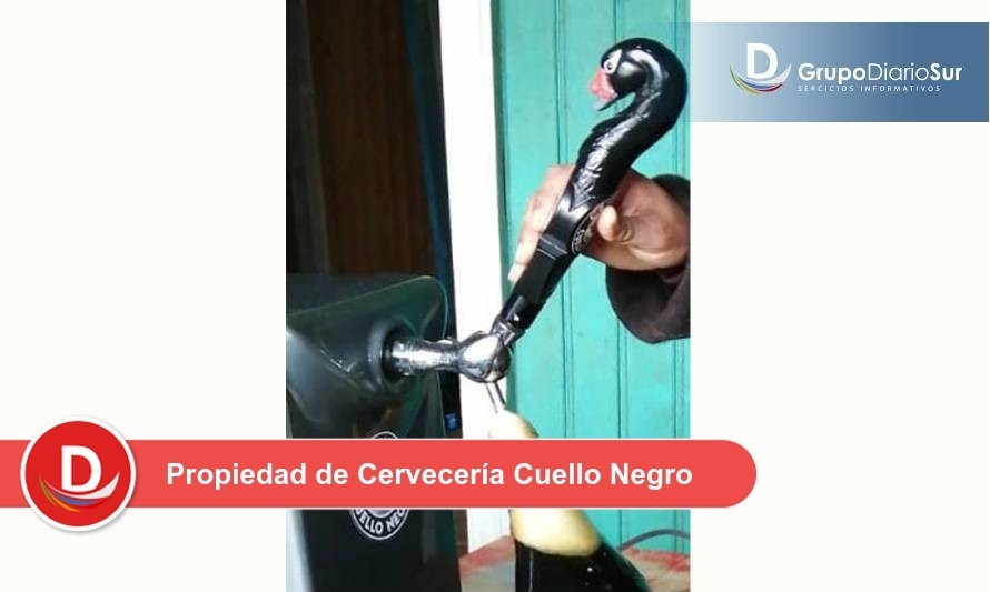 Robaron una costosa máquina dispensadora de cerveza en Valdivia